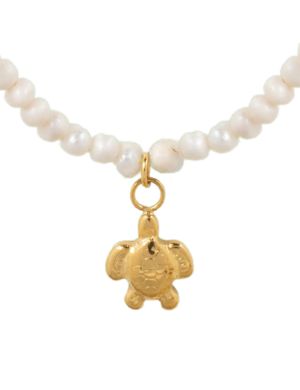Collar tortuga