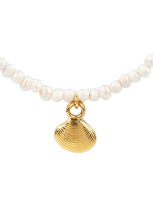 Collar almeja