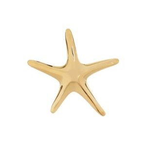 Anillo dorado estrella de mar