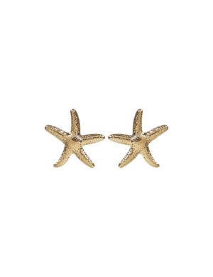 Pendientes estrella de mar