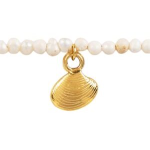 Pulsera charm almeja con perlas de rio
