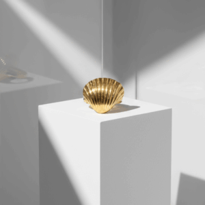 Anillo dorado concha de mar