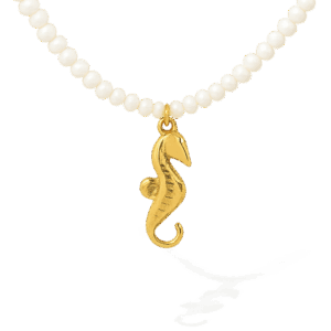 Collar caballito de mar y perlas de rio