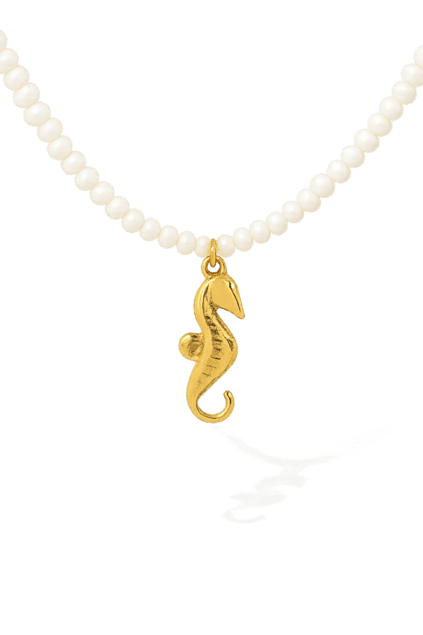 Collar caballito de mar y perlas de rio